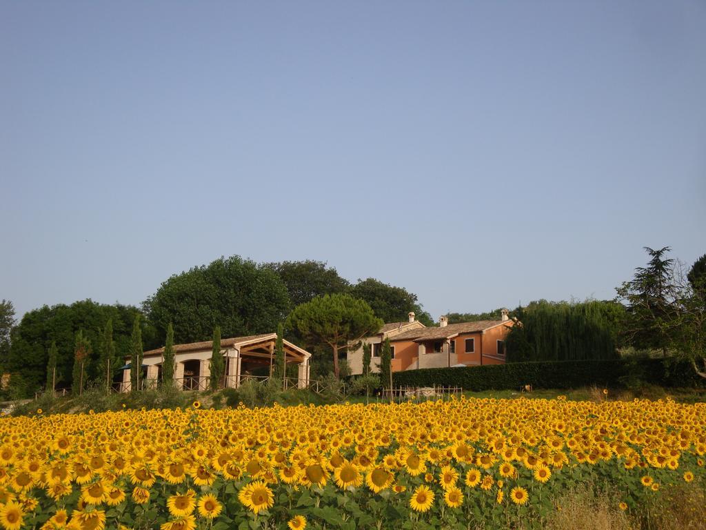 Villa Rustico Del Conero à Camerano Extérieur photo